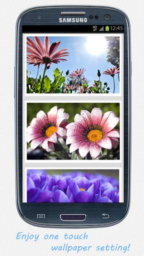 Flowers HD wallpapers screenshot 1