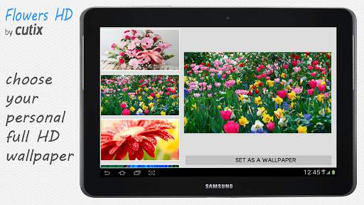 Flowers HD wallpapers screenshot 2