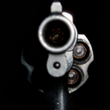 Gun Gallery icon