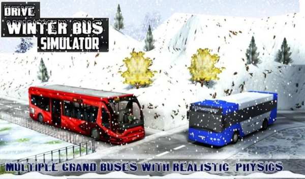 Winter Bus Drive - Tourist Sim screenshot 3