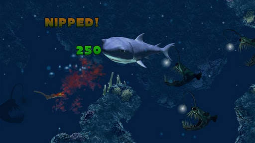 Hungry Shark screenshot 4