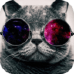 Cats Wallpaper icon