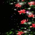 Magical Flowers Live Wallpaper