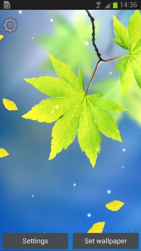 Leaf Live Wallpaper screenshot 2