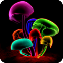 3D Mushrooms LWP icon