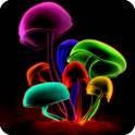 3D Mushrooms LWP on 9Apps