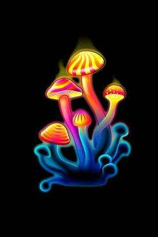3D Mushrooms LWP screenshot 5
