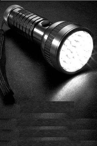 Torch Lite screenshot 2