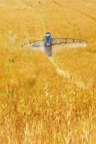 Kids Hay Harvesting Game Day screenshot 1