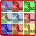 Foto Color icon