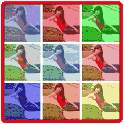 fotoColor 1.0