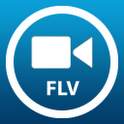 FLV Video Player/Browser
