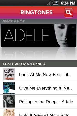 Downloads screenshot 2