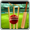 T20 Cricket Quiz icon