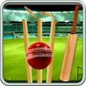 T20 Cricket Quiz