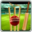T20 Quiz 1.0