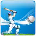 World Cup Cricket 2011 1.1.1