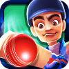 Flick Cricket icon
