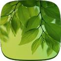 Leaf Live Wallpaper Galaxy S4 1.0