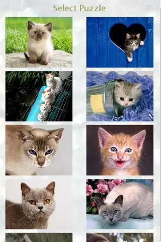 Tom Cat Free Game screenshot 2