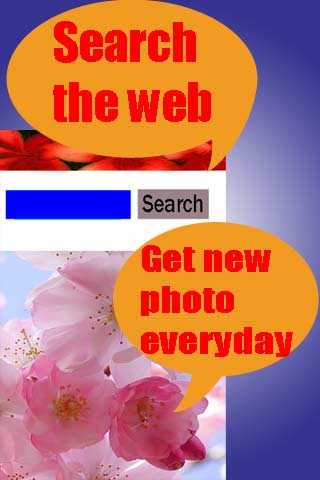 Web Browser Searcher screenshot 3