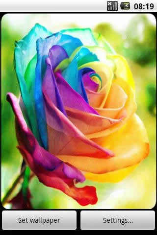 4D Rose Live Wallpaper स्क्रीनशॉट 4