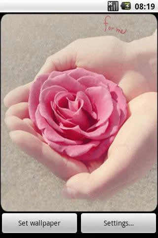 4D Rose Live Wallpaper स्क्रीनशॉट 2