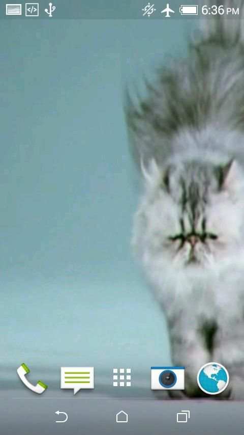 Cats Video 3D LWP screenshot 1