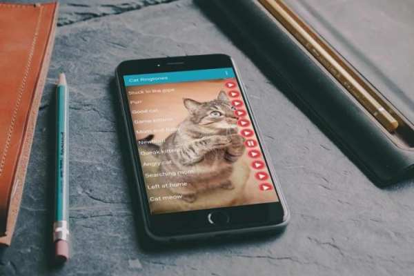 Cat Sounds Ringtones Purr скриншот 1