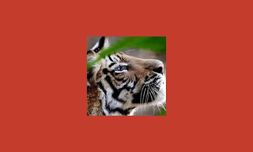 Google+ Cover Photo Shooter screenshot 5