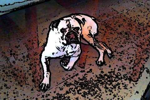 Camera paper drawing effect screenshot 5