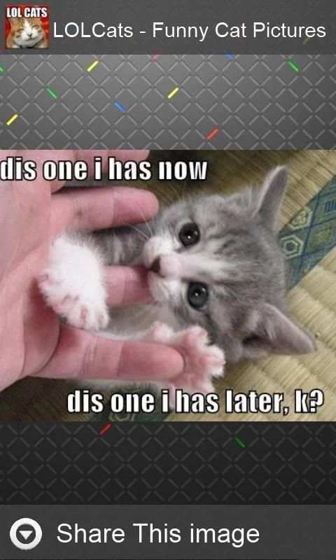 LOLCats - Funny cats pictures screenshot 1
