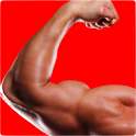 ① Muscle Building Workouts ①