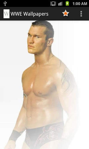 wwe wallpapers screenshot 1