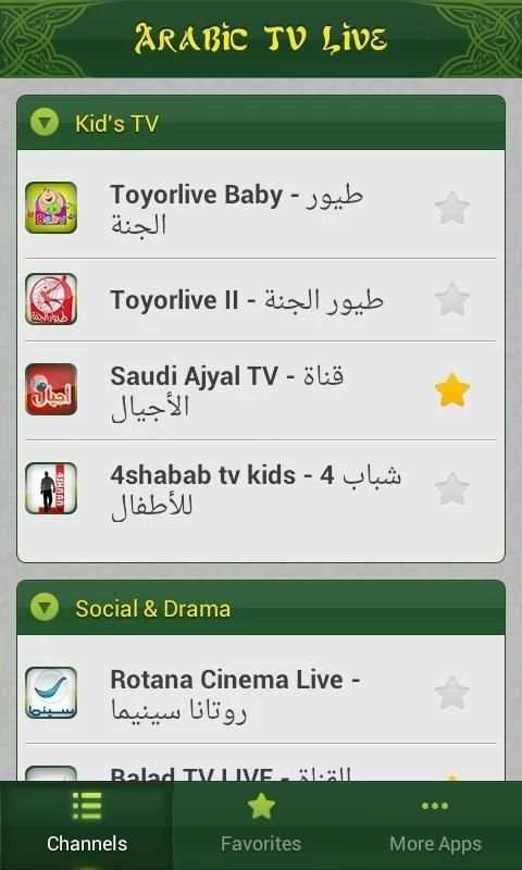 Arabic TV Live screenshot 5