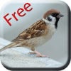 Bird Sounds &amp; Ringtones आइकन