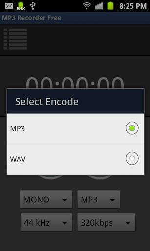 MP3 Recorder Lite screenshot 4