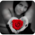 Red Theme Photography 1.0