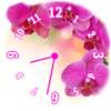 Pink Clock Widget 1.0