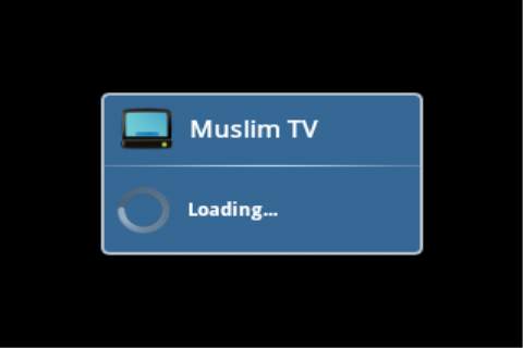 Muslim TV screenshot 3