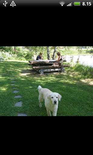 Fambit Photoframe screenshot 1