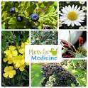 Plants For Medicine