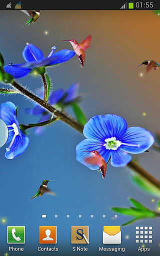 Galaxy Birds HD Wallpapers screenshot 4