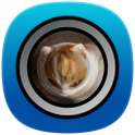 Fisheye Camera Lense on 9Apps