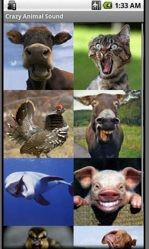 Crazy Animal Sound screenshot 1