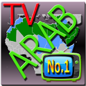 Arabic TV, 286 ArabTV islamic icon