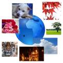 Image search & slide show Widget 1.9