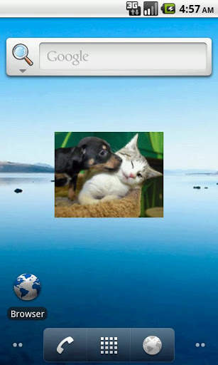 Image search &amp; show Widget screenshot 2