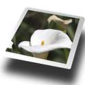 Camera Magic 1.4.4
