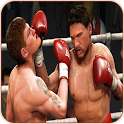 Free Boxing Techniques icon